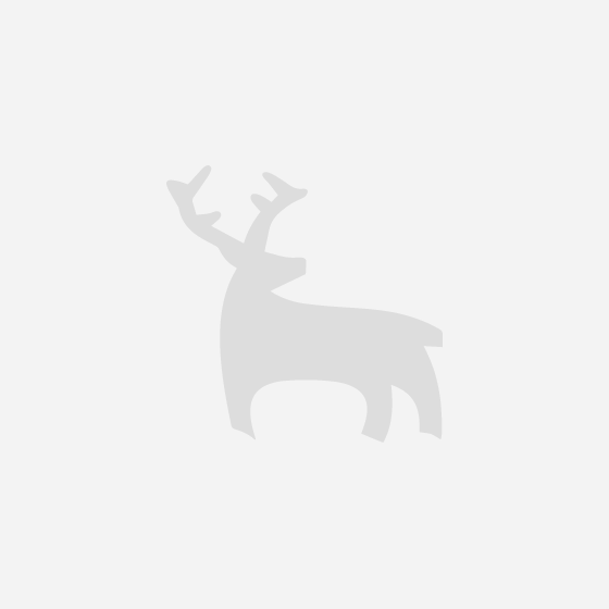 Tienda de Uniformes Ejecutivos, Empresariales y para Secretarias - Unitam  Uniformes