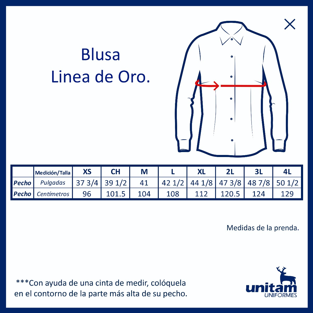 Blusa de Vestir Línea de Oro Nevada